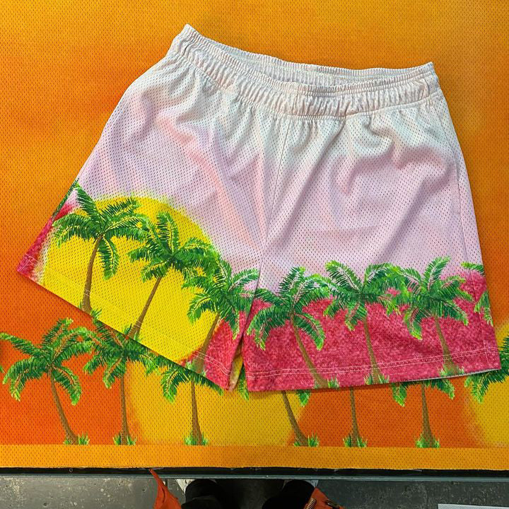 Leisure vacation beach sports mesh shorts